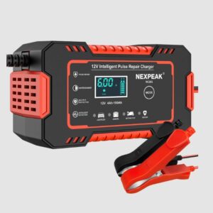 BeeTech 12V 6A Smart Battery Charger